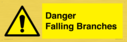 danger-falling-branches~